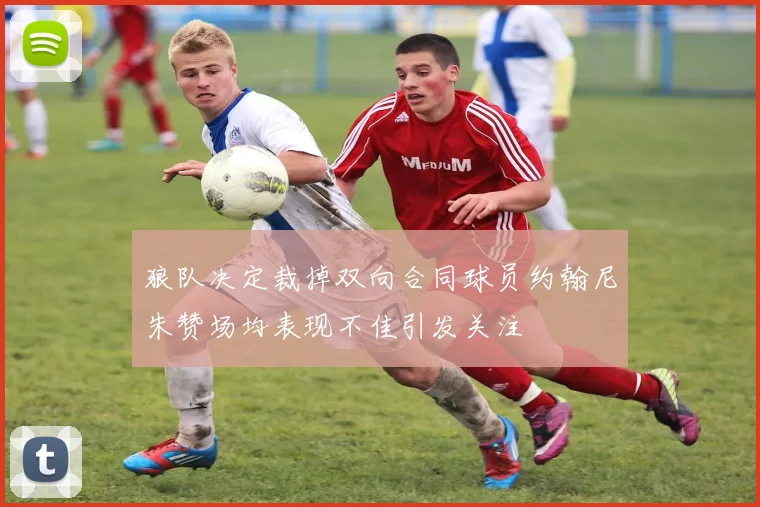 狼队决定裁掉双向合同球员约翰尼朱赞场均表现不佳引发关注