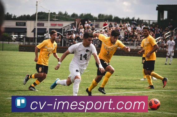 IM电竞平台生态图